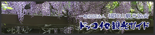 ドッコイセ観光ガイド